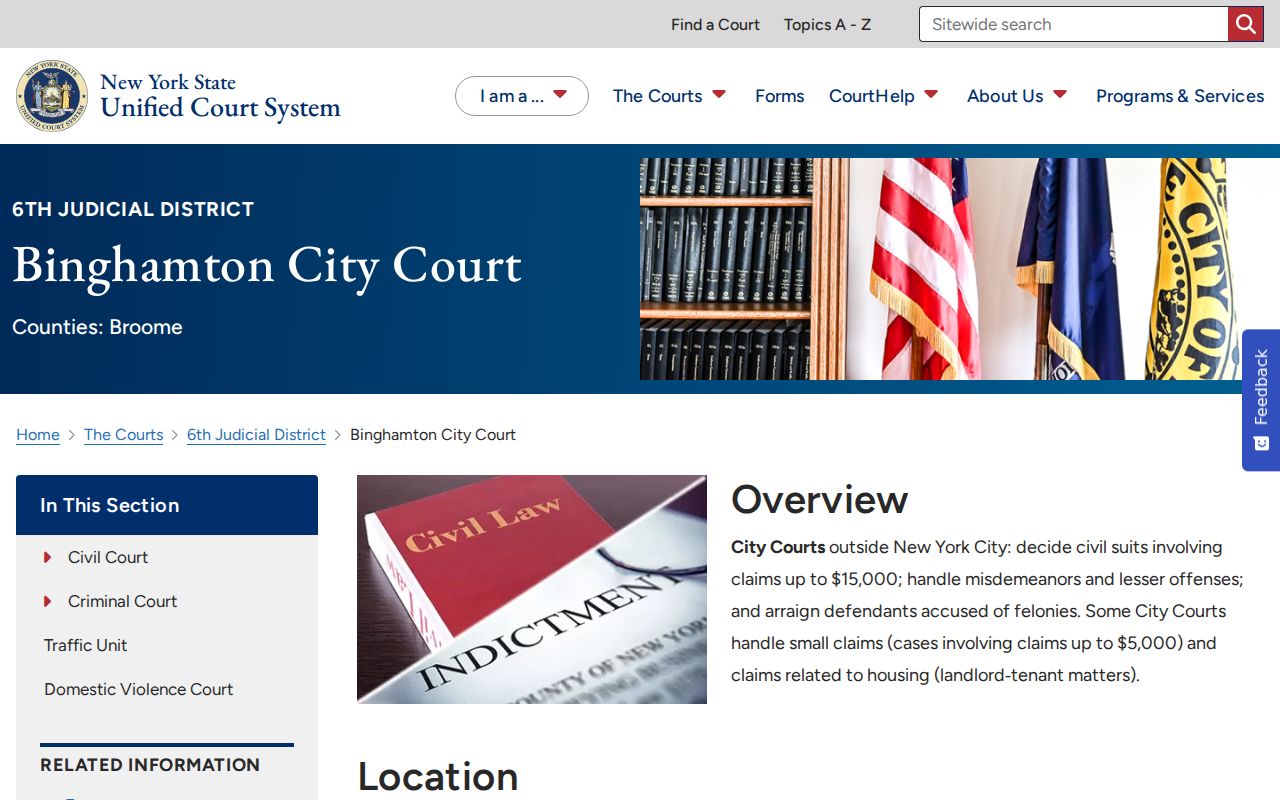 Binghamton criminal records information on the City Court page